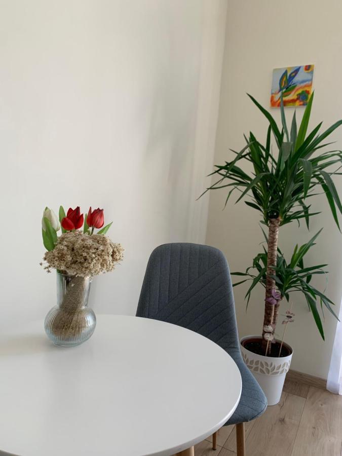 בודפשט Vilagos, Kellemes Lakas, Jo Koezlekedessel מראה חיצוני תמונה